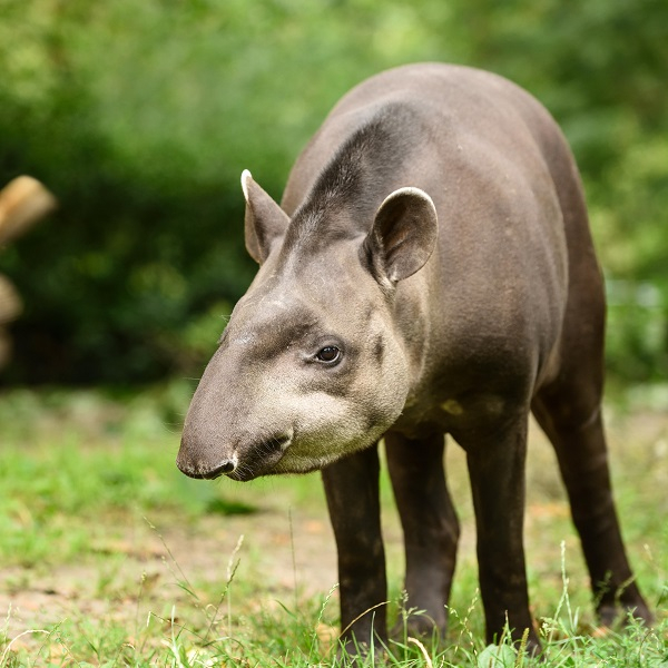Sinnesführungen für Erwachsene