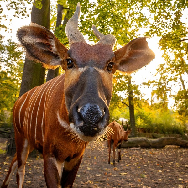 Sinnesführungen für Kinder