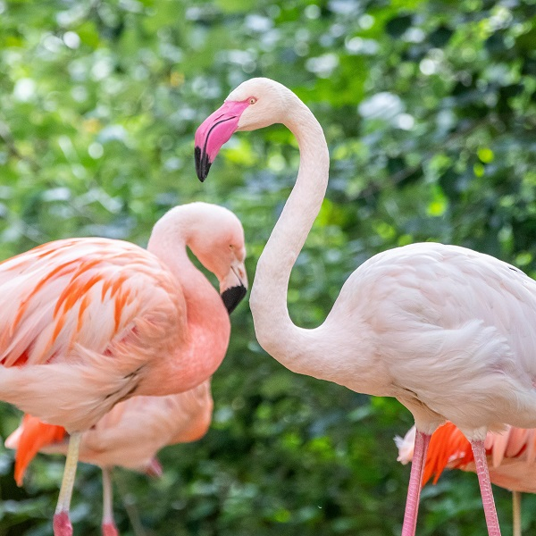 Führungen für Menschen mit Demenz